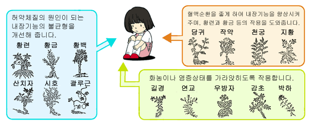 허약체질의 원인이 되는 내장기능의 불균형을 개선해 줍니다. 혈액순환을 좋게 하여 내장기능을 향상시켜 주며, 황련과 황금 등의 작용을 도와줍니다. 화농이나 염증상태를 가라앉히도록 작용합니다.