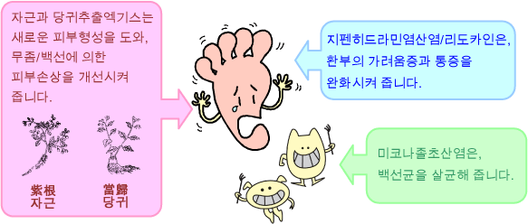 자근과 당귀추출엑기스는 새로운 피부형성을 도와, 무좀/백선에 의한 피부손상을 개선시켜 줍니다.