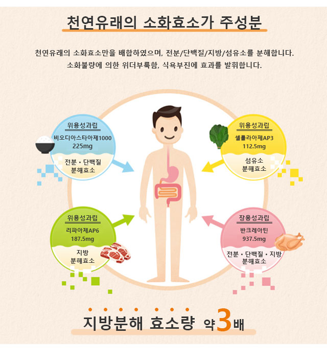 천연유래의 소화효소가 주성분