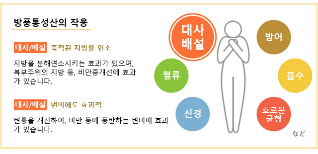 방풍통성산의 작용