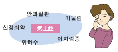 안과질환　귀울림　어지럼증　위하수　신경쇠약
