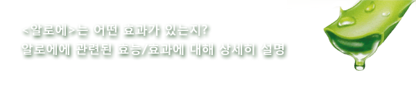 <알로에>는 어떤 효과가 있는지? 알로에에 관련된 효능/효과에 대해 상세히 설명