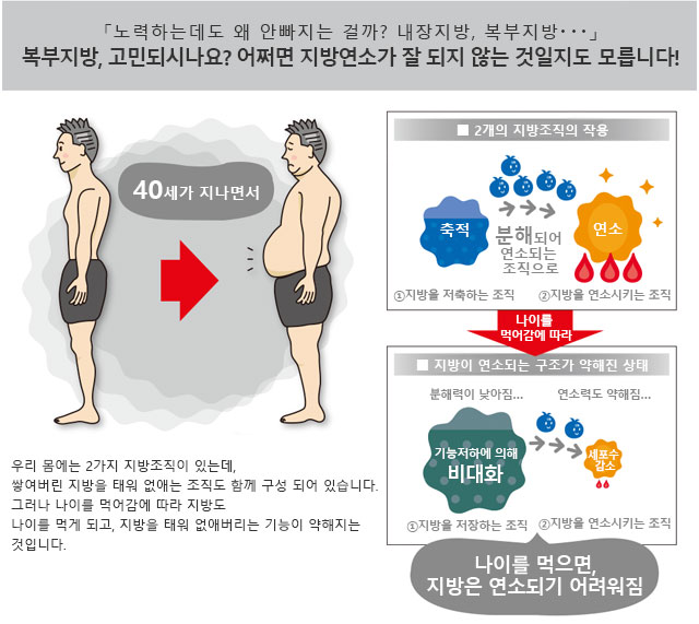 복부지방, 고민되시나요? 어쩌면 지방연소가 잘 되지 않는 것일지도 모릅니다!