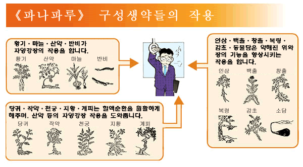 (1)황기ㆍ마늘ㆍ산약ㆍ반비가 
자양강장의 작용을 합니다. (2)인삼ㆍ백출ㆍ창출ㆍ복령ㆍ감초ㆍ동물담은 약해진 위와 장의 기능을 향상시키는 작용을 합니다. (3)당귀ㆍ작약ㆍ천궁ㆍ지황ㆍ계피는 혈액순환을 원활하게 해주며, 산약 등의 자양강장 작용을 도와줍니다.