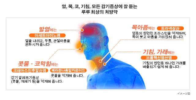 열, 목, 코, 기침, 모든 감기증상에 잘 듣는 루루 최상의 처방약
