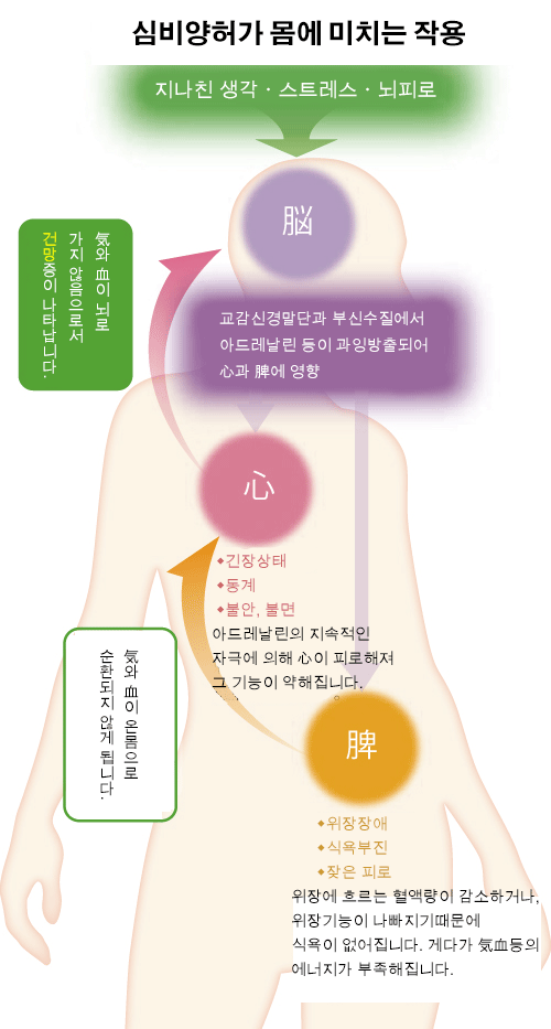 심비양허가 몸에 미치는 작용